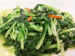 -西新饭店(城中店)