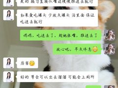 -宠爱国际动物医院· 猫科· 外科·中兽医(长白店)