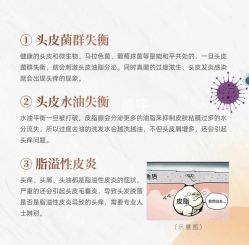 -Bollins波林丝•专研护发中心