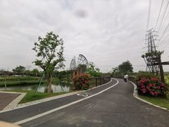-王借岗森林公园