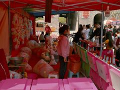 -渭南桃花源民俗文化园