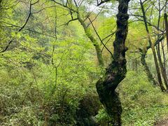 -会稽山峡洞漂流-上青古道