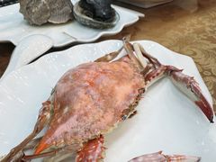 -渔码头食府(蓬莱阁店)