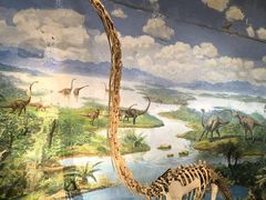 -自贡恐龙博物馆