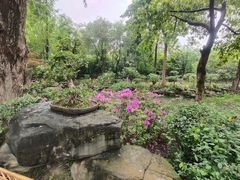 -成都武侯祠博物馆