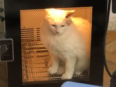 -转角宠物(转塘方家苑店)