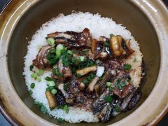 -红星光发煲仔饭(大石街店)