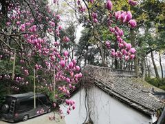 -宋宴(虎跑店)