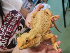 -藦茜花园宠物主题亲子互动体验馆(国顺东路店)