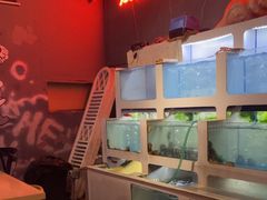 -质烤烤物·活烤海鲜(质烤总店)