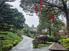 -森波拉火山温泉