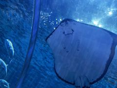 -华夏文旅西安度假区