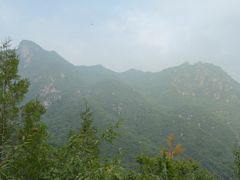 -大岭沟猕猴桃谷风景区