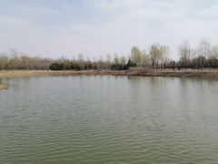 -东郊湿地公园