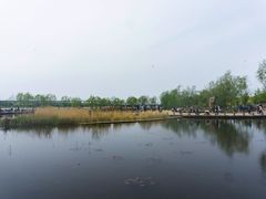 -绿堤公园