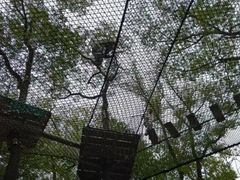 -芦仙山景区-飞越丛林探险乐园