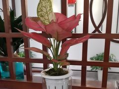 -千滋百味·醉江澜花园餐厅(街道口店)