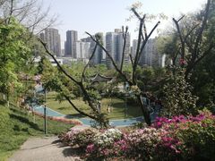 -重庆平顶山公园
