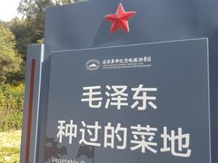 -延安杨家岭革命旧址