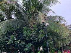 -观澜湖兰桂坊(深免海口观澜湖免税城店)