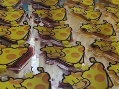 -向阳松鼠(江口店)