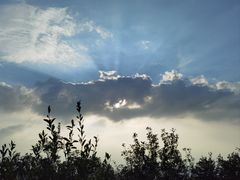 -梧桐山风景名胜区