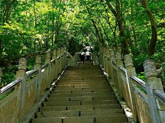 -洛阳白云山景区