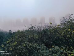 -龙头寺公园