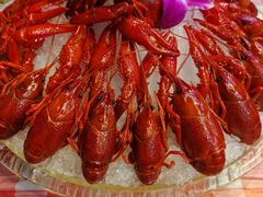 -京悦南门涮羊肉·羊蝎子火锅(田林路店)