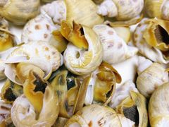 清蒸花螺-四川小胡子海鲜(丁村万人海鲜广场店)