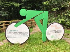 -阳台山森林公园