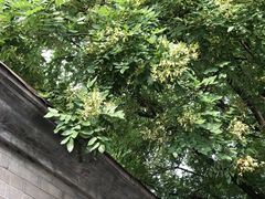 -卓雅桂林米粉