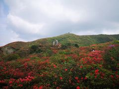 -大围山国家森林公园