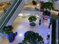 -蝶园·装修中(BFC外滩金融中心店)