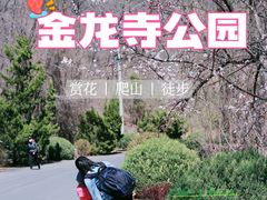 -金龙寺国家森林公园