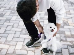 -隹木咖啡馆(宝龙广场店)