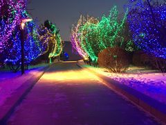 -长春世界雕塑园冰雪艺术天地