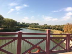 -大兴滨河森林公园