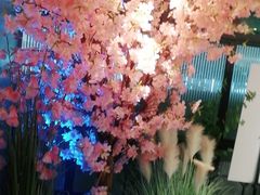 -野妹火锅(龙岗店)