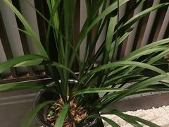 -溪畔•新徽菜(碧湖云溪店)
