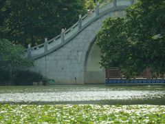 -荔枝公园(福田区)
