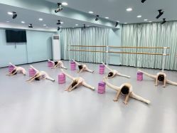 -昕艺尚皇家芭蕾舞蹈中心