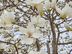 -国家图书馆·古籍馆