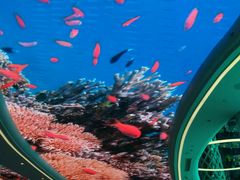 -瑞德姆美人鱼海底演艺主题餐厅(亚龙湾店)