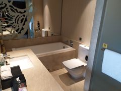 -成都明宇丽雅饭店