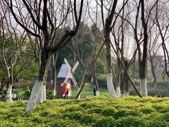-圩墩遗址公园