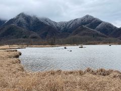 -大九湖