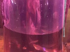 -宝鸡东道花鸟鱼虫市场(吉利花园商场店)