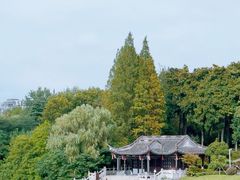 -梅园