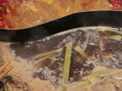 -朱光玉火锅馆(正弘城店)